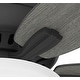 preview thumbnail 10 of 23, Hunter 52" Newsome Flush Mount Ceiling Fan with LED Bowl Light Kit and Pull Chain
