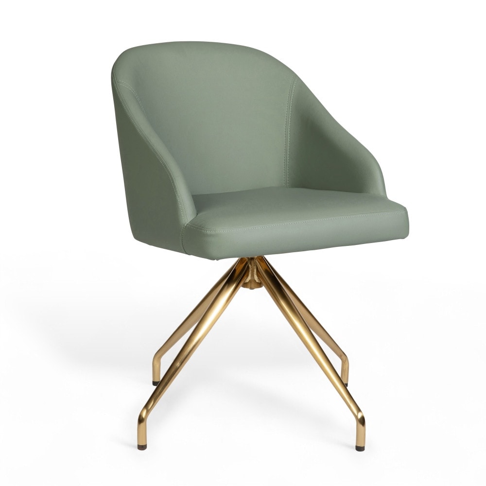 Martha Stewart Upholstered Stationary Swivel Home Office Chair