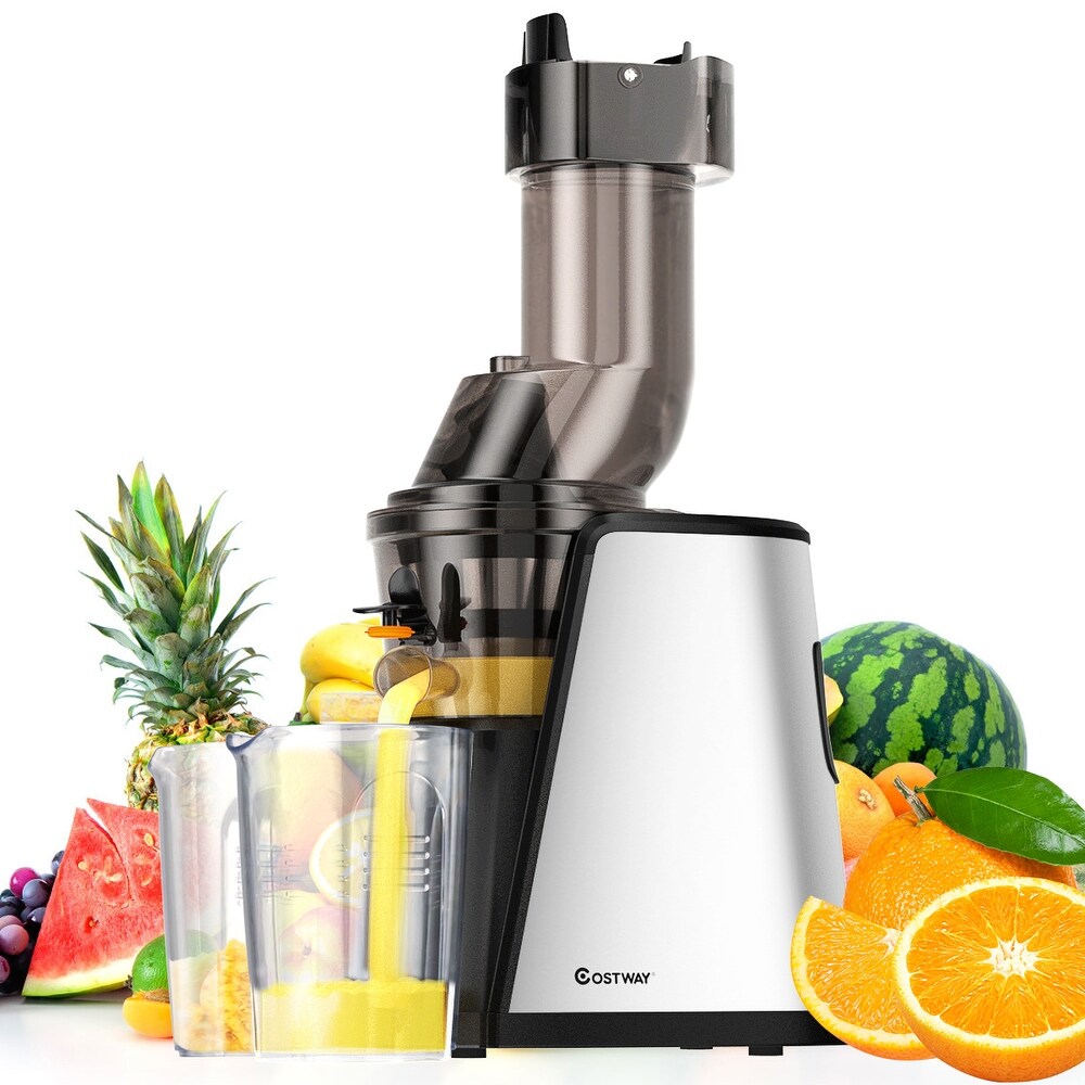 Slow Masticating Juicer Cold Press Vegetable Extractor Stainless