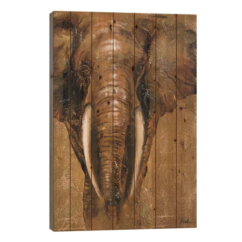 Gold Elephant Print On Wood by Patricia Pinto - Multi-Color - 40x26x1.5