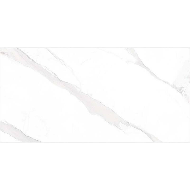 The Tile Life Delaney 24x48 Blanco Marble Look Porcelain Floor & Wall Tile