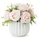Option Light Pink