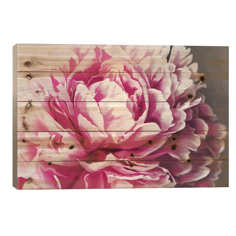 Peony Blush Print On Wood by 5by5collective - Multi-Color - 18x26x1.5