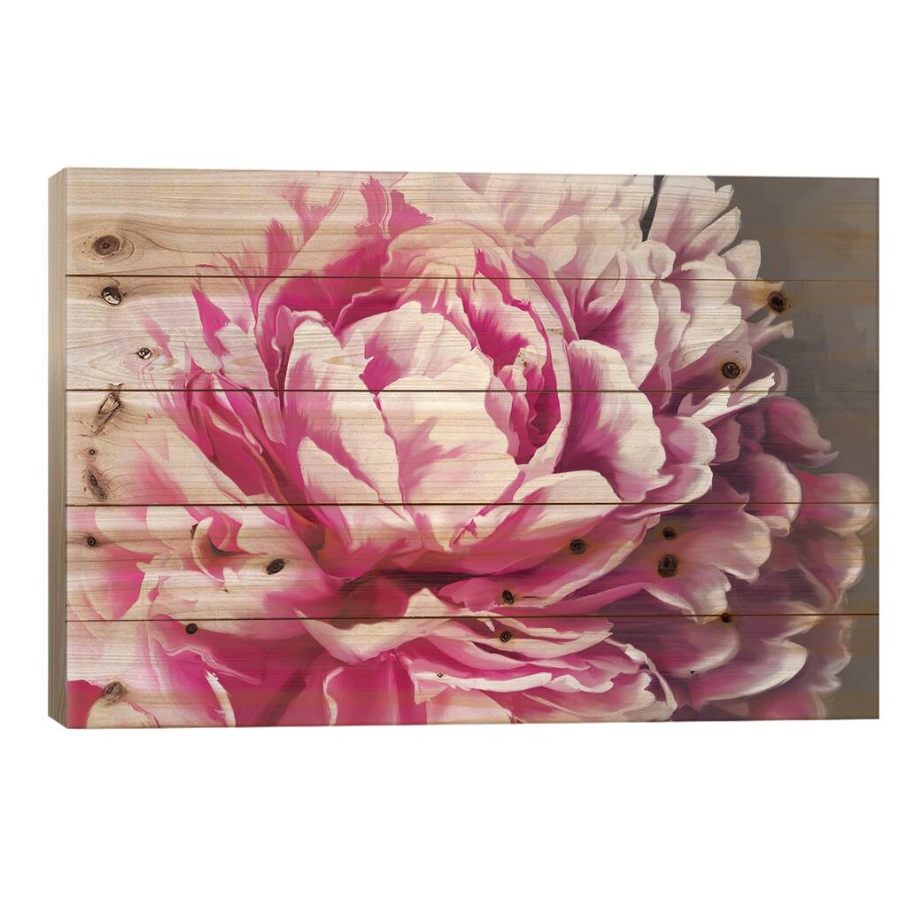 Peony Blush Print On Wood by 5by5collective - Multi-Color