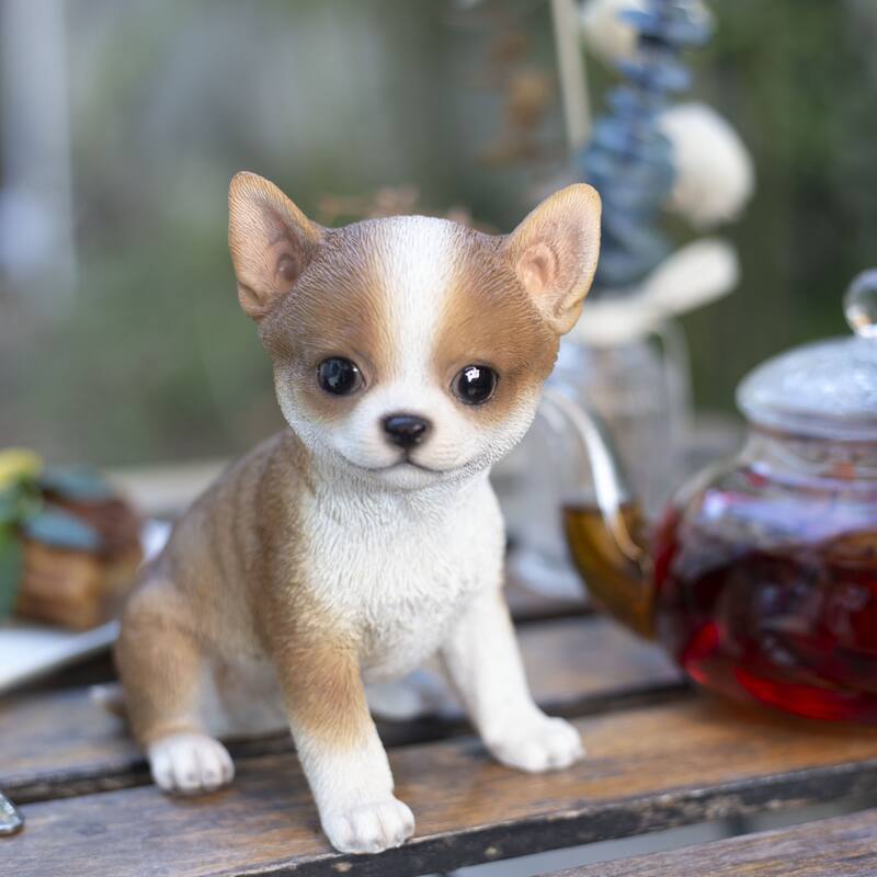 SoReal Brown Chihuahua
