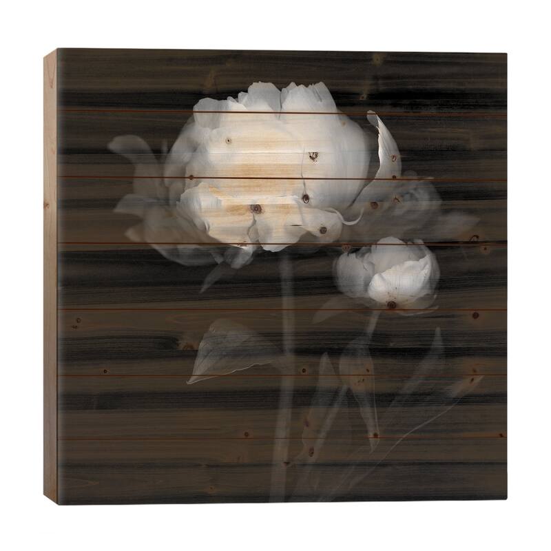 Peonies III, B&W Print On Wood by Magda Indigo - Multi-Color - 26x26x1.5