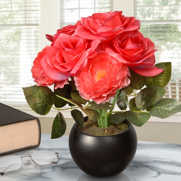 rose♤rose 51KLitIJYpL._UF350,350_QL80_.jpg