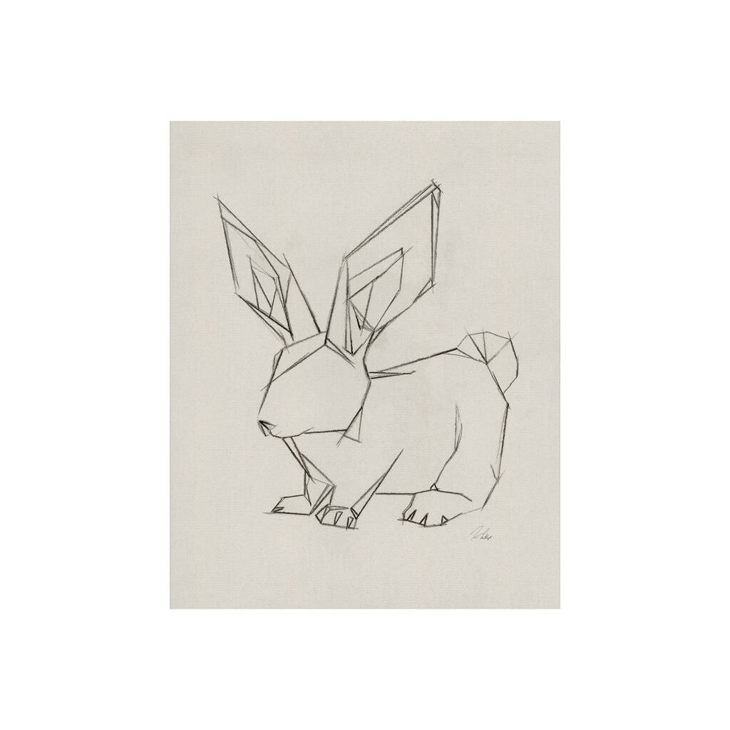Geo Bunny (20 x 25) Canvas Art Print