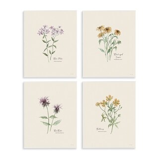 Stupell Simple Wildflower Studies Wall Plaque Art Design By Cindy ...