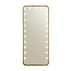 preview thumbnail 15 of 18, Furniture of America Agnes Glam 71-inch Full Length Mirror with LED and Bluetooth Speaker