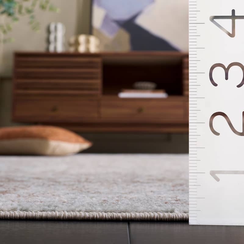 SAFAVIEH Evoke Pety Vintage Distressed Rug