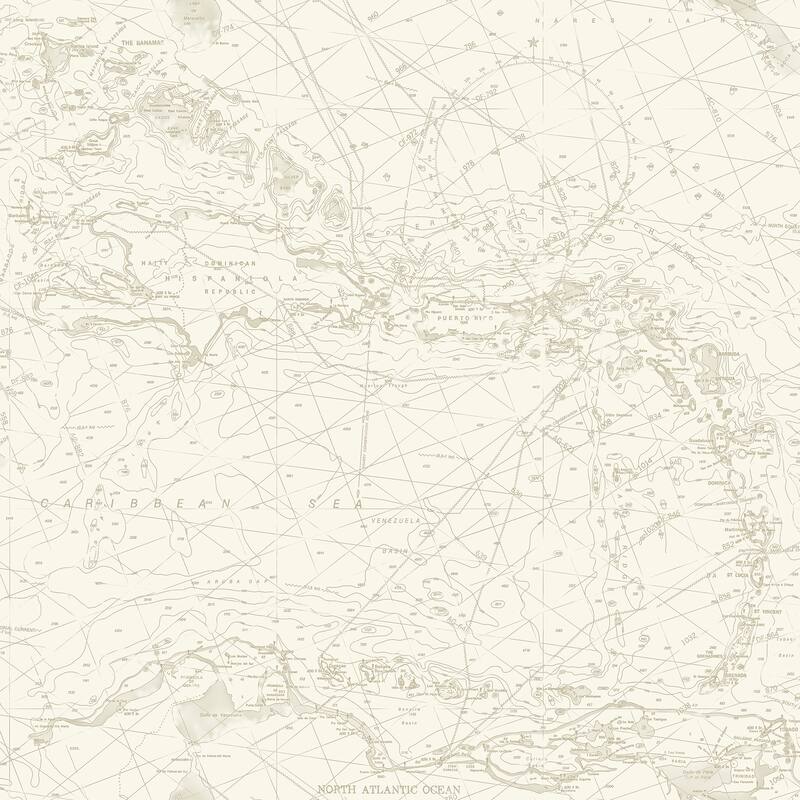 Chesapeake Charts Taupe Nautical Chart Wallpaper