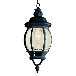 Trans Globe Lighting Single Light Down Lighting Small Outdoor Pendant