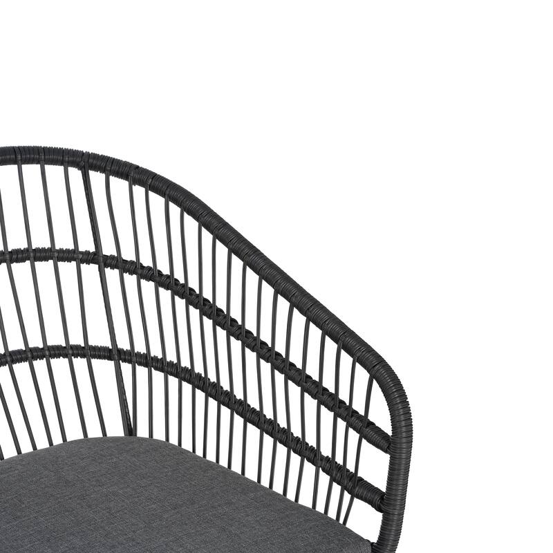 Lemere Outdoor Wicker Dining Chair with Cushion (Set of 2) by Christopher Knight Home