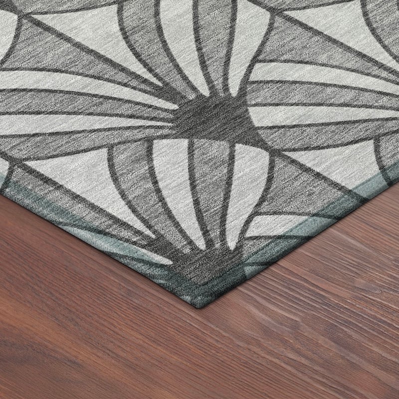 Machine Washable Indoor/ Outdoor Casual Kim Chantille Rug