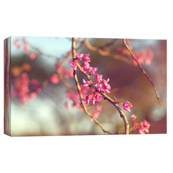 PTM Images 9-102069 PTM Canvas Collection 8" x 10" - "Red Bud 2" Giclee Cherry Blossoms Art Print on Canvas