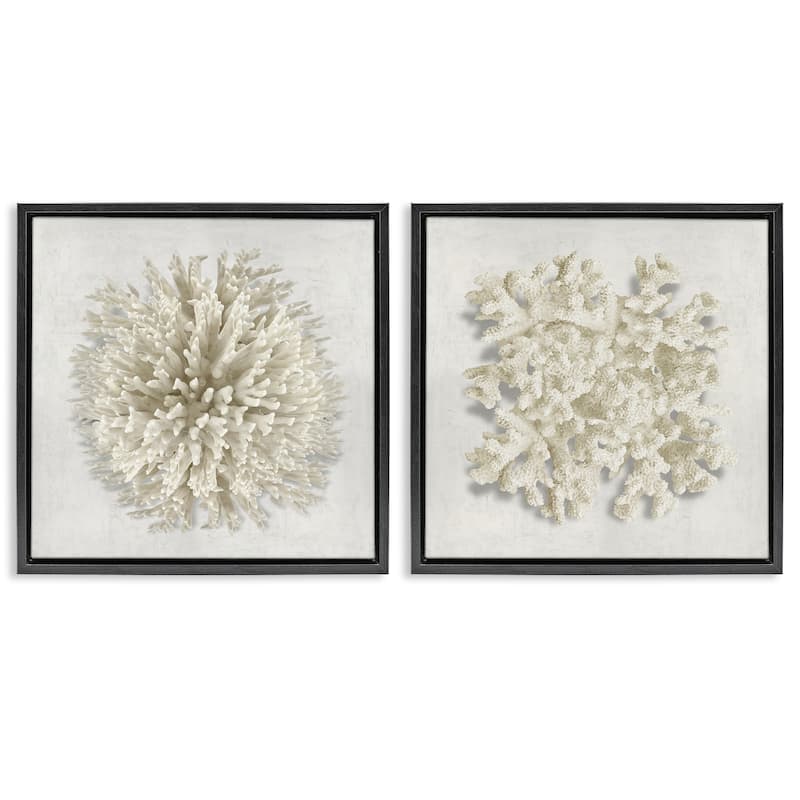 Stupell Distinct Natural Coral Framed Floater Canvas Wall Art Design By Caroline Kelly (Set of 2) - 18 x 18 - Black