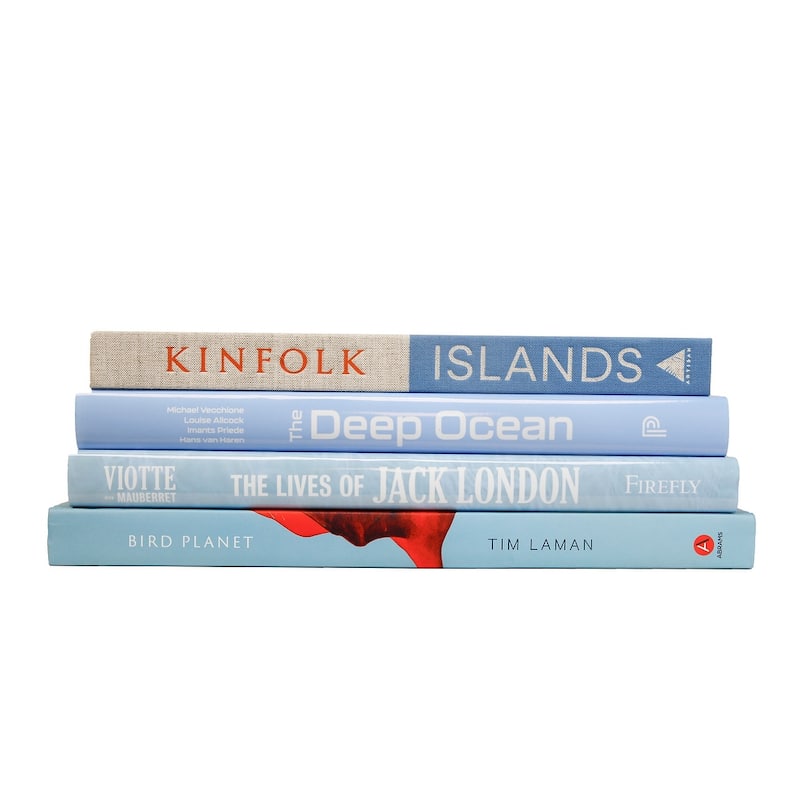 Books Blue Decorative Accessories: Ocean ColorStak