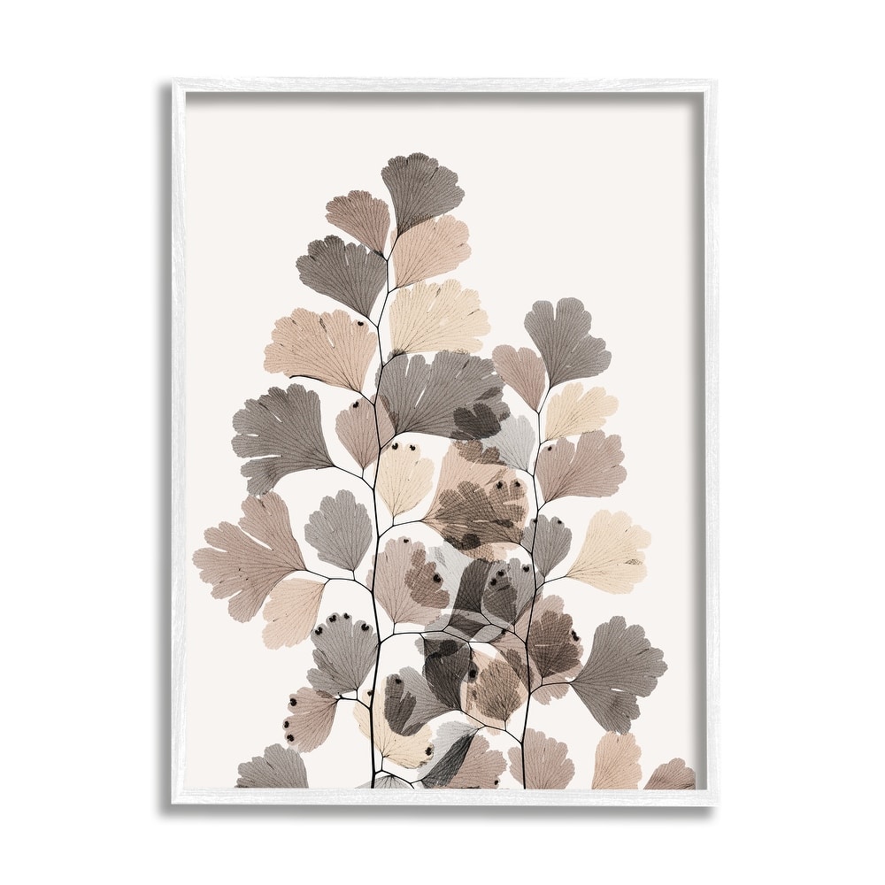 Stupell Modern Ginkgo Leaf Arrangement Translucent Brown Grey Leaves Framed Wall Art