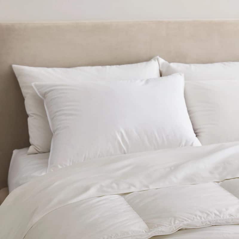 Luxurious 800 Fill Power 75% White Down Pillow Made in Germany (Single Pack)