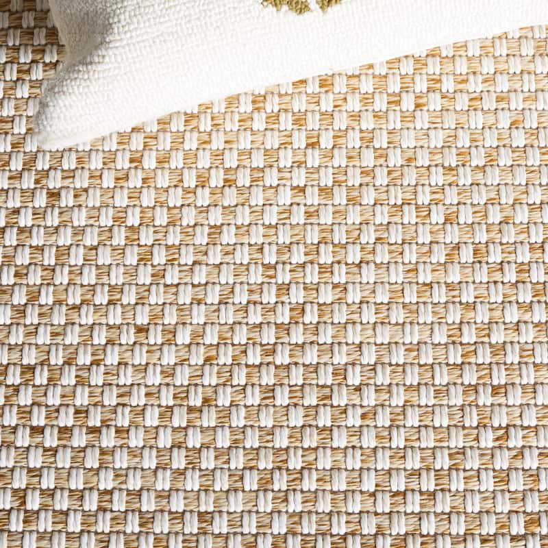 SAFAVIEH Sisal All-Weather Zhanat Transitional Indoor/Outdoor Rug