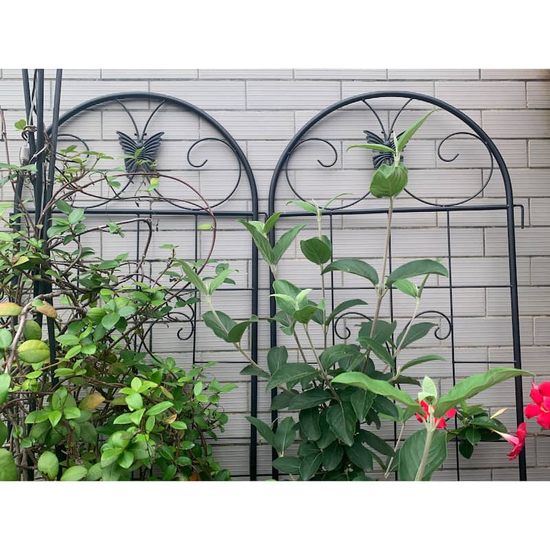 Metal Garden Trellis, 2 Pack Metal Trellis for Climbing Plants, Indoor/Outdoor Plant Trellis, Lawn Garden Fence Decor Screen