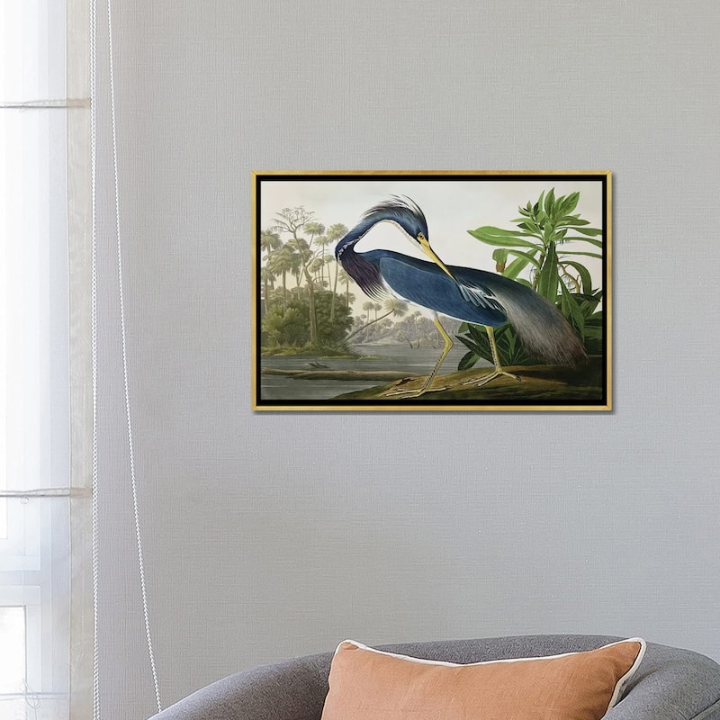 iCanvas "Louisiana Heron" by John James Audubon Framed Canvas Print