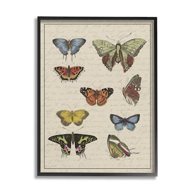 Stupell Vintage Butterfly Study over Muted Cursive Script Framed Wall Art - Multi-Color