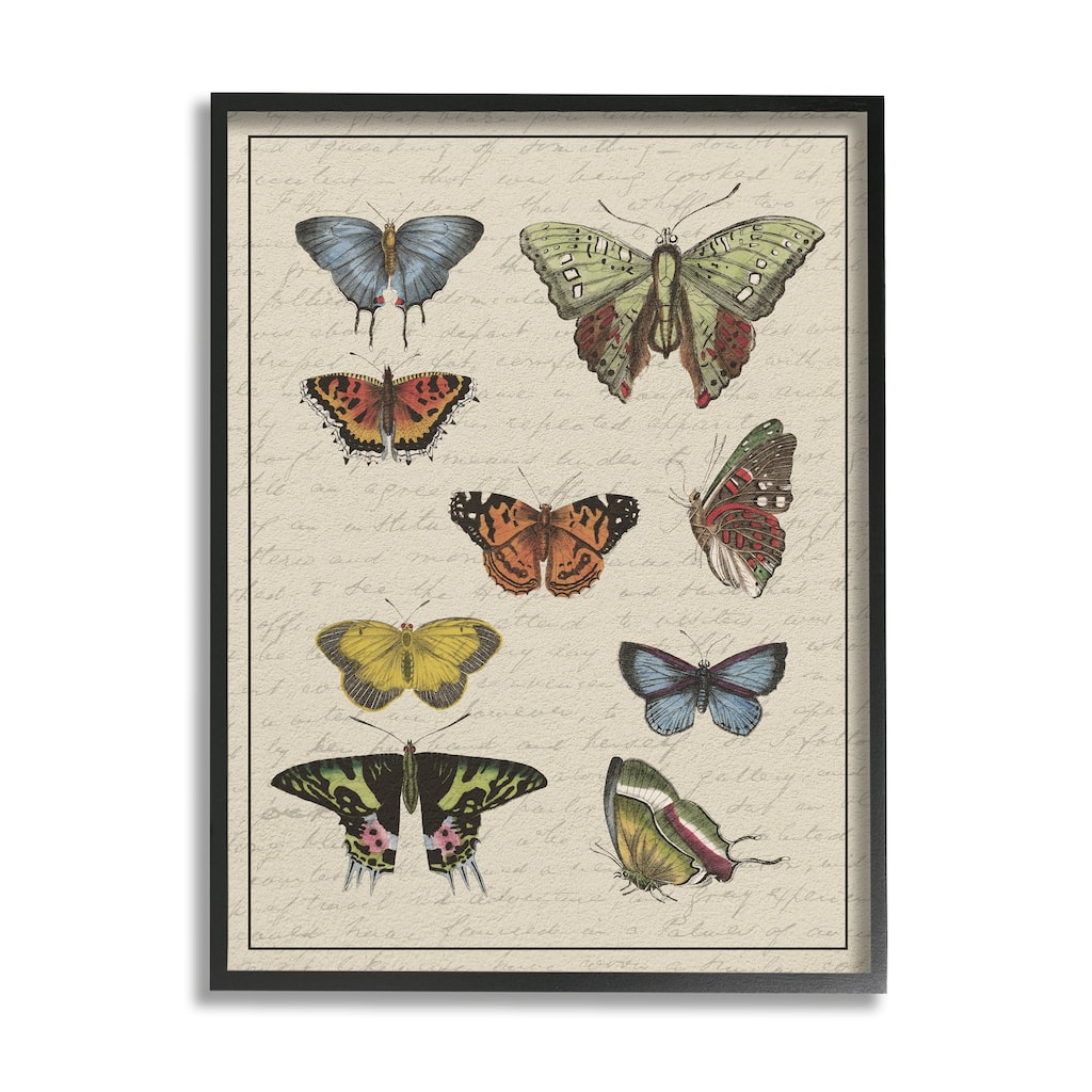 Stupell Vintage Butterfly Study over Muted Cursive Script Framed Wall Art - Multi-Color