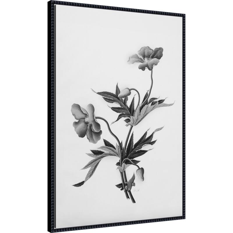 Botanical No. 2 by Deborah Revell Framed Canvas Wall Art Print