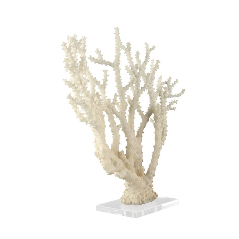 Cream Polystone Coral Decorative Sculpture with Clear Acrylic Base