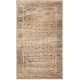 preview thumbnail 36 of 52, SAFAVIEH Agda Vintage Distressed Oriental Area Rug