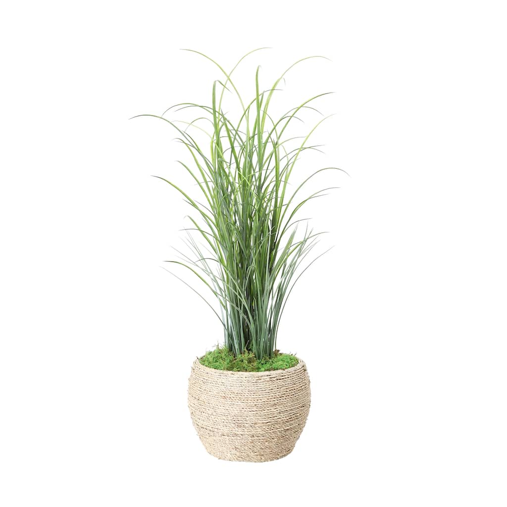 Grass in Strawgrass Planter - 39