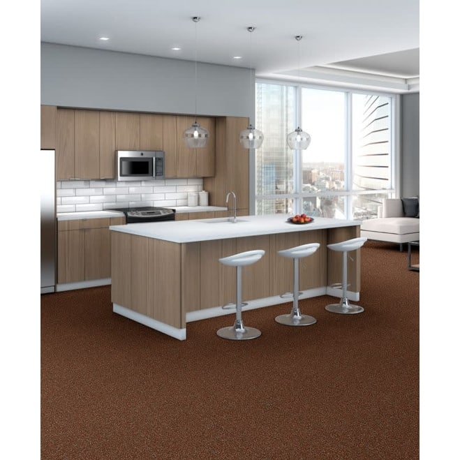 Shaw Philadelphia Commercial Knot it 18" x 36" Glue Down Carpet Tile -