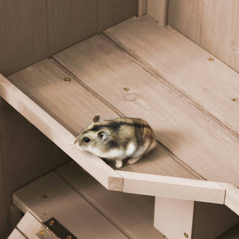 PawHut Extra Large Wooden Hamster Cage and Habitat Playground with 3 Ladders and 2 Huts, Syrian & Dwarf Hamster Cage