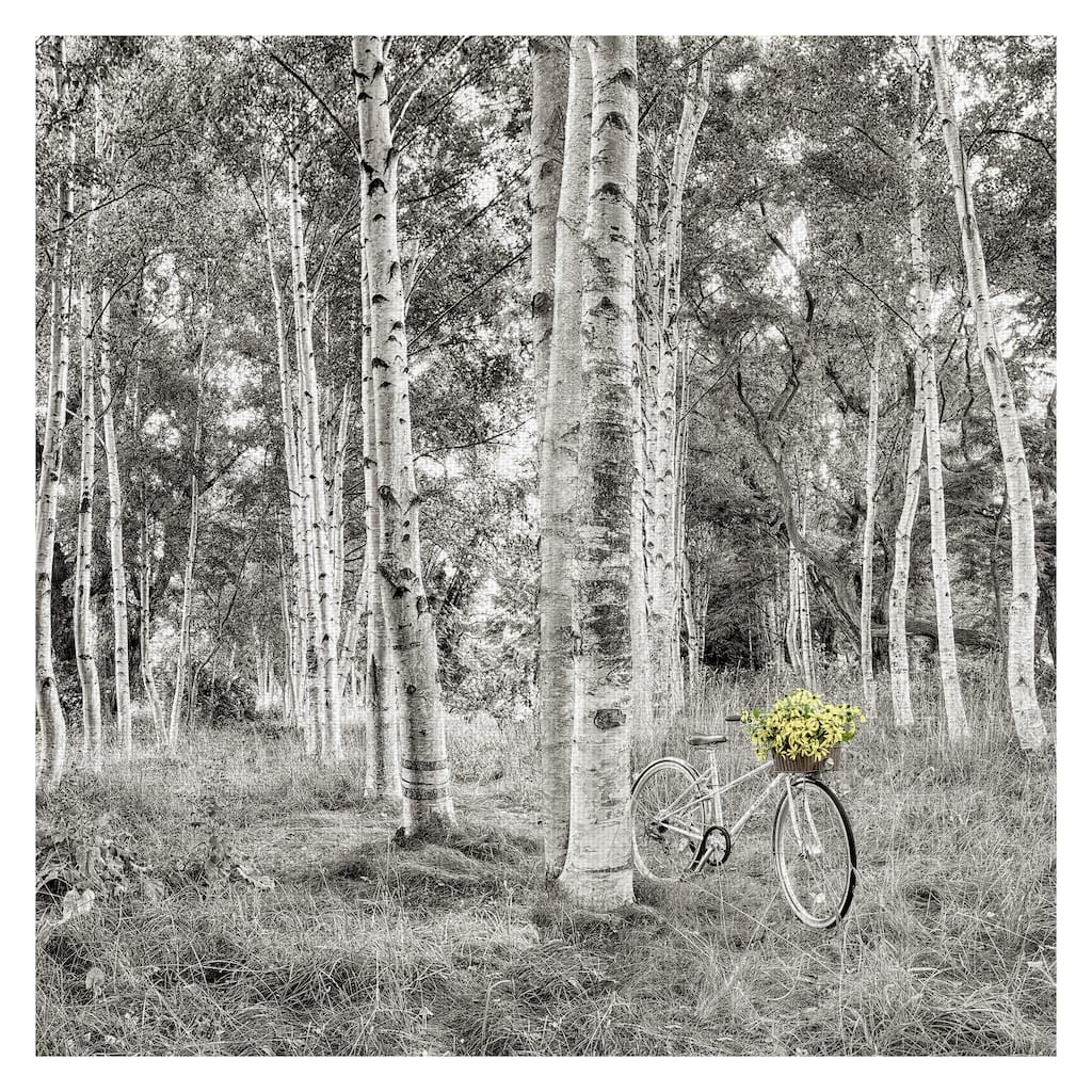 Sunflower Bicycle Ride by Alan Blaustein Canvas Art Print