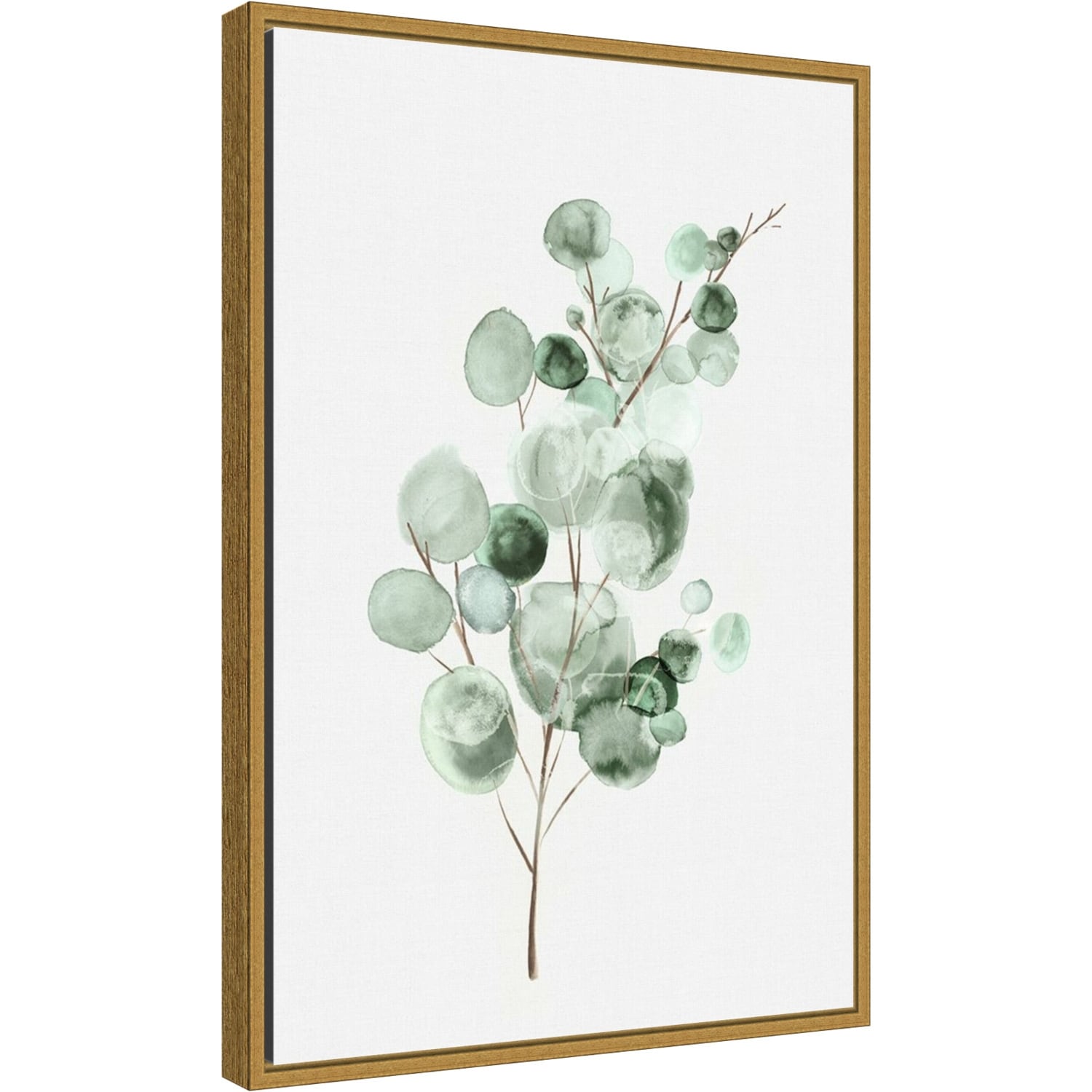 Tender Sprout Ii Eucalyptus By Eva Watts Framed Canvas Art Overstock 32926262