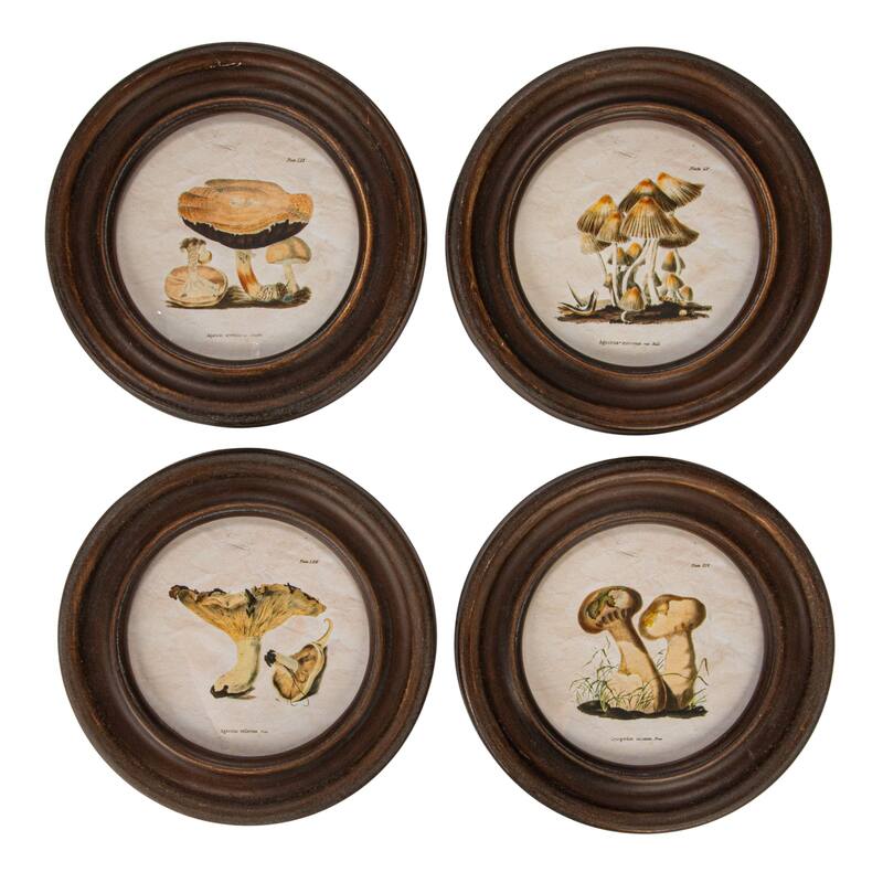 Reclaimed Wood Framed Mushroom Print Wall Art