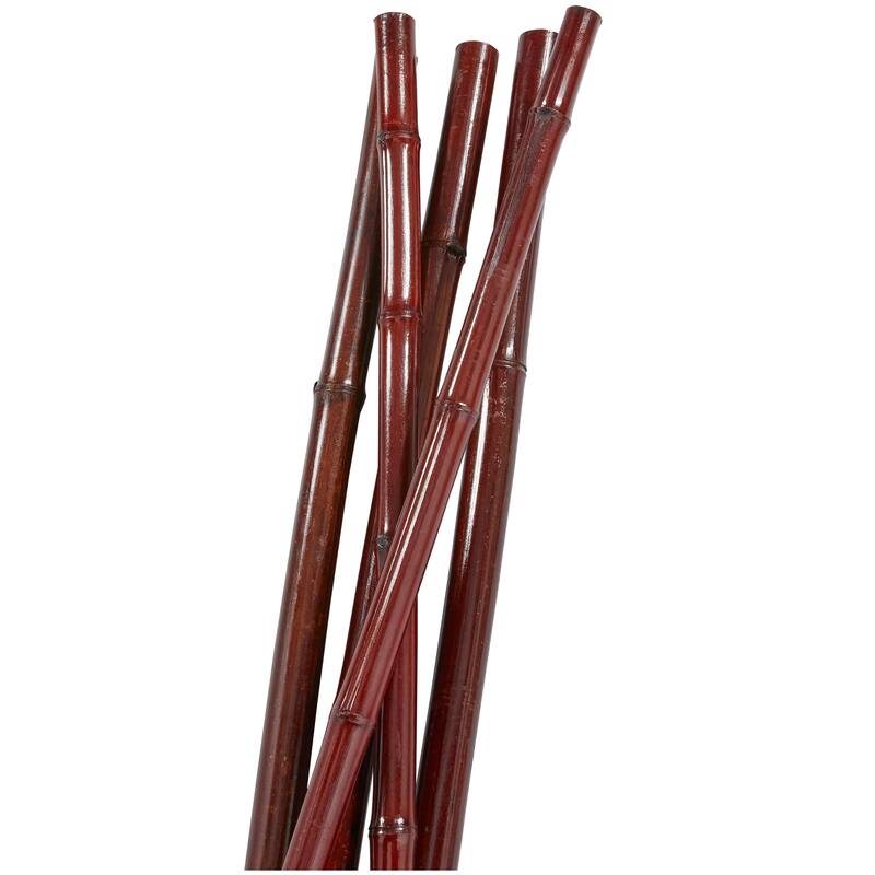 Dried Hogla Babala Bamboo Natural Foliage Collection - Multiple Colors