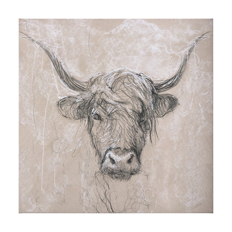Sketch of Animal VIII (Highland Bull) (44 x 44) Canvas Art Print - Large
