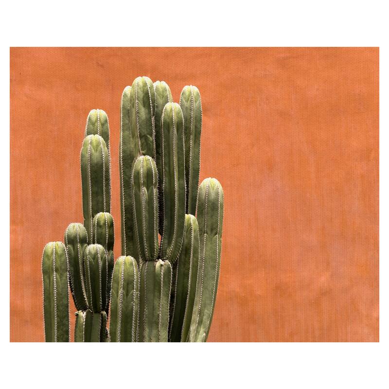 Amber Succulent by Belle Maison Canvas Art Print