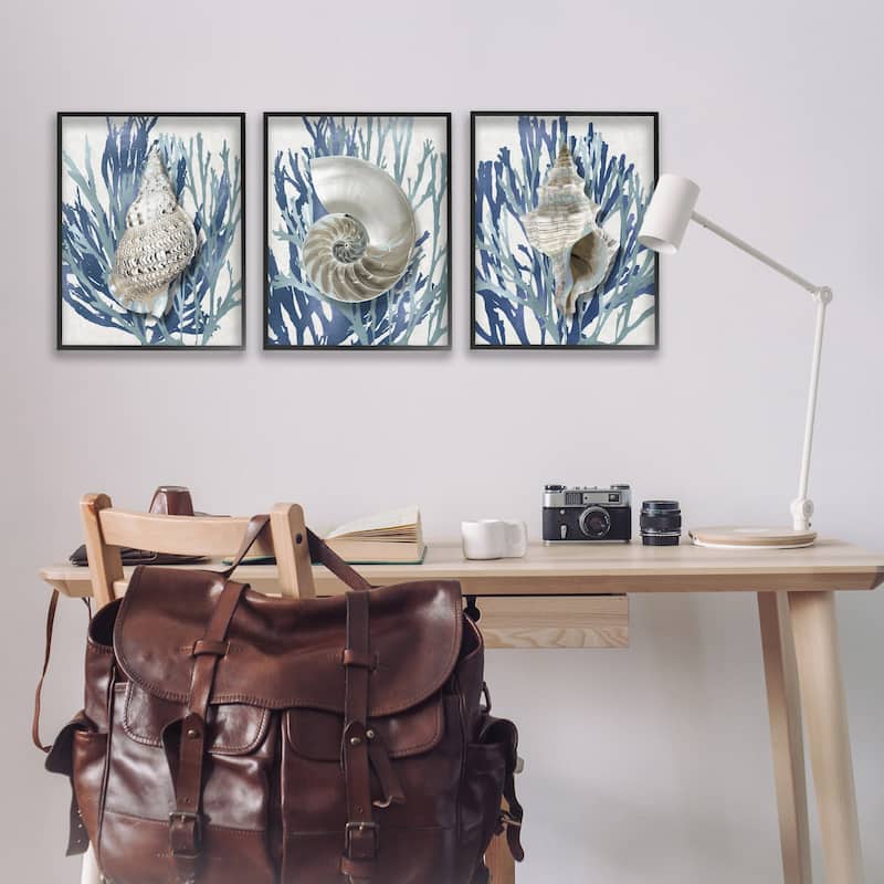 Stupell Trio of Shell Coral Blue Beach Design, 3pc Multi Piece Framed Wall Art Set