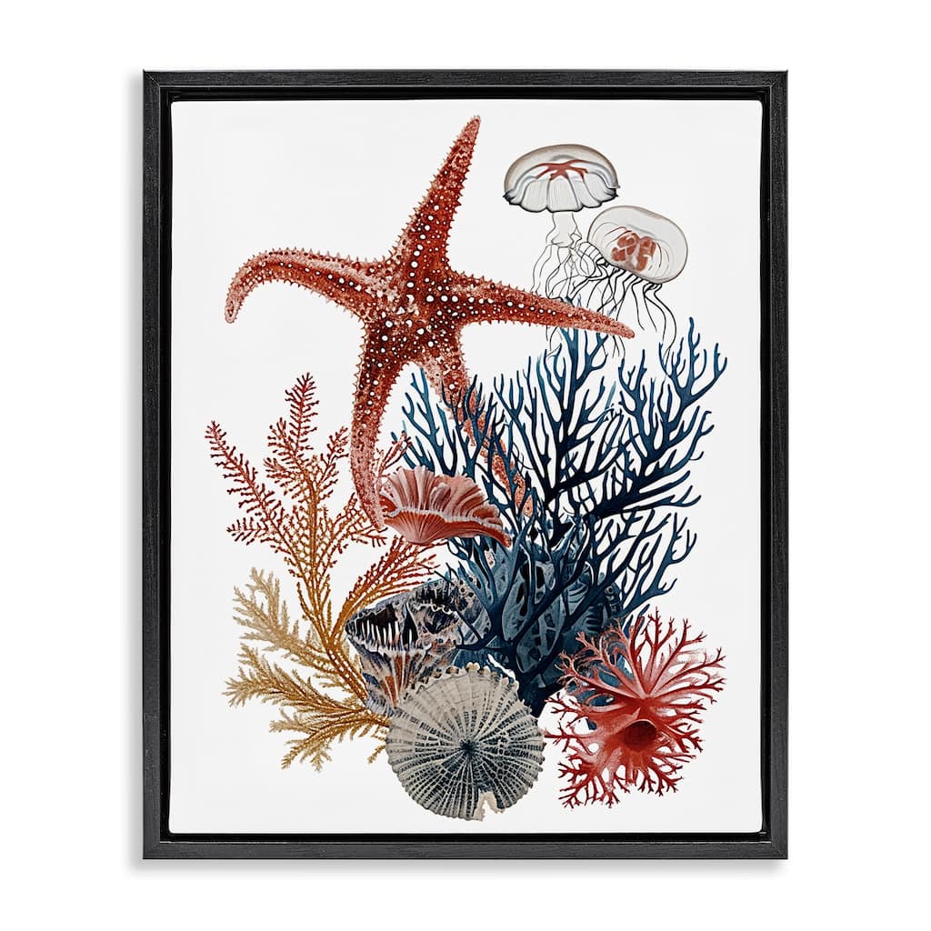 Stupell Natural Aquatic Sea Creatures Framed Floater Canvas Wall Art Design By Ramona Murdock