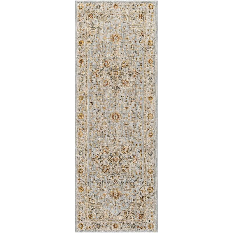 Tereza Updated Traditional Medallion Area Rug
