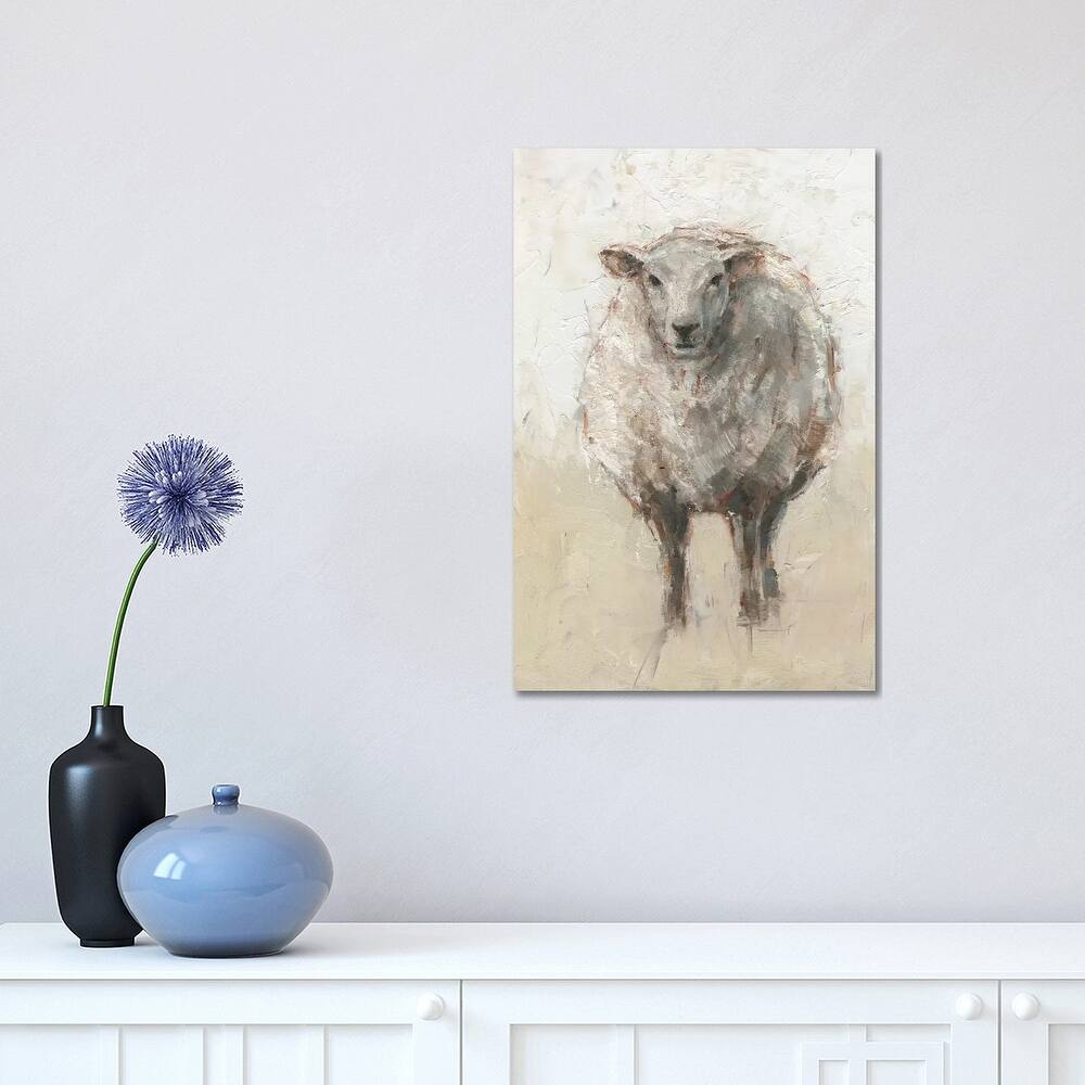 iCanvas "Fluffy Sheep I" by Ethan Harper Canvas Print