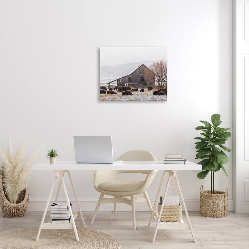 Stupell Snow Dusted Barn Buffalo Bison Rural Farm Canvas Wall Art, Design by Jeff Poe Photography