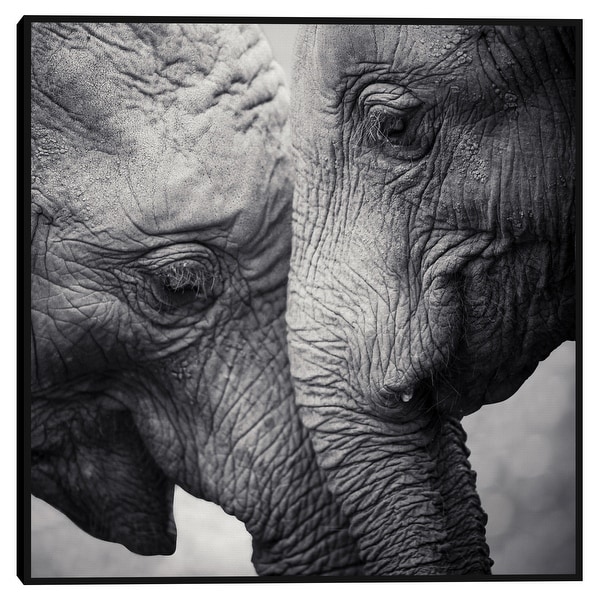 Belle elephant walk bedding new arrivals