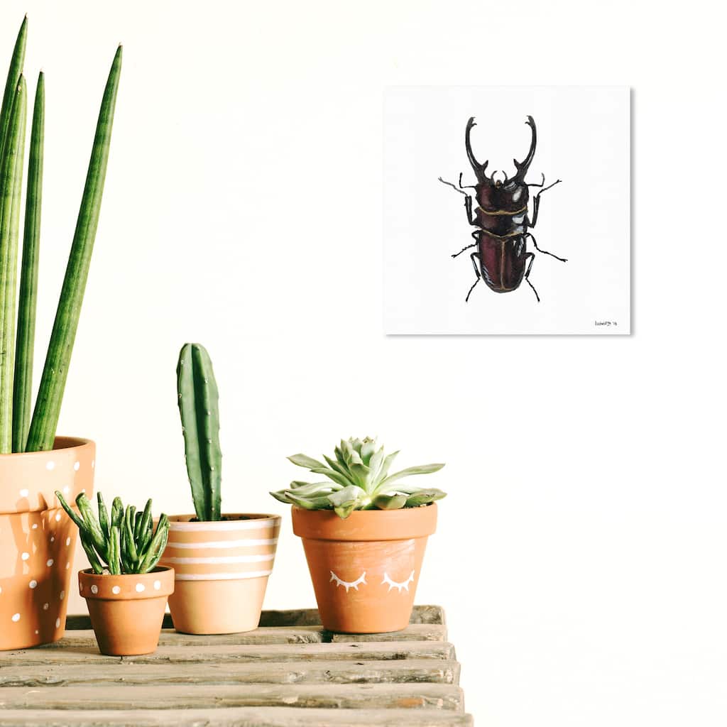 Wynwood Studio Canvas Animals Insect Black and Rustic Wall Art Canvas Print