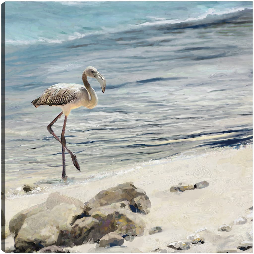 Shorebird By Studio Arts Canvas Art Print