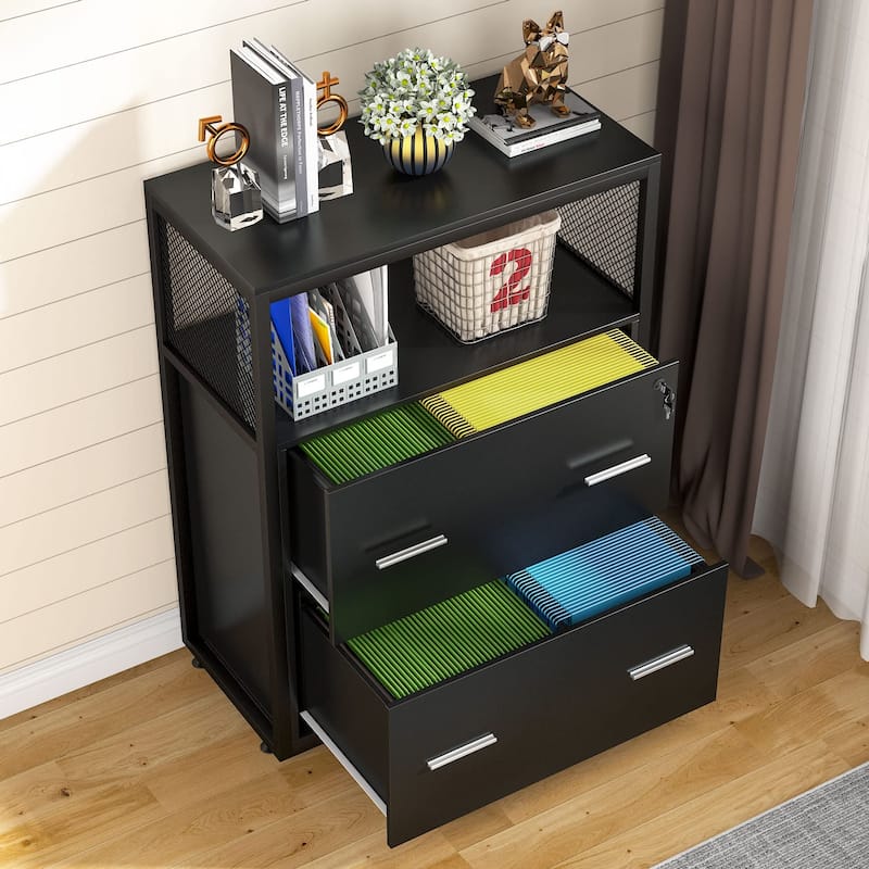 2-Drawer Lateral File Cabinets Legal Size, Large Filing Cabinet with Lock, Printer Stand